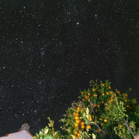"Villa Servanda " - Relax, Nature, Wide Views Of The Sea And A Starry Sky Puntagorda Exterior foto