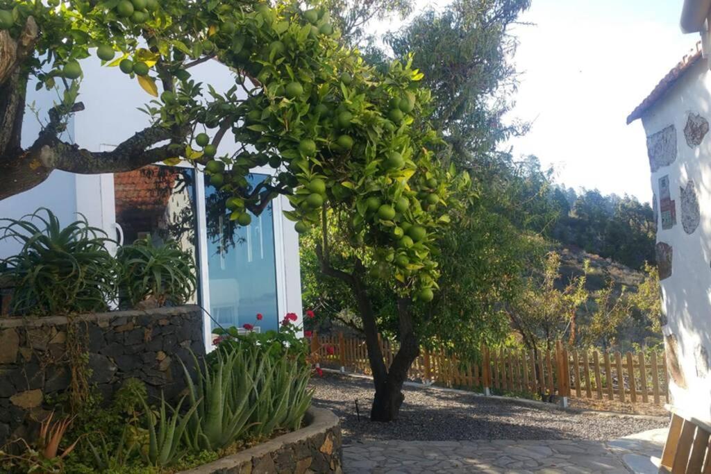 "Villa Servanda " - Relax, Nature, Wide Views Of The Sea And A Starry Sky Puntagorda Exterior foto