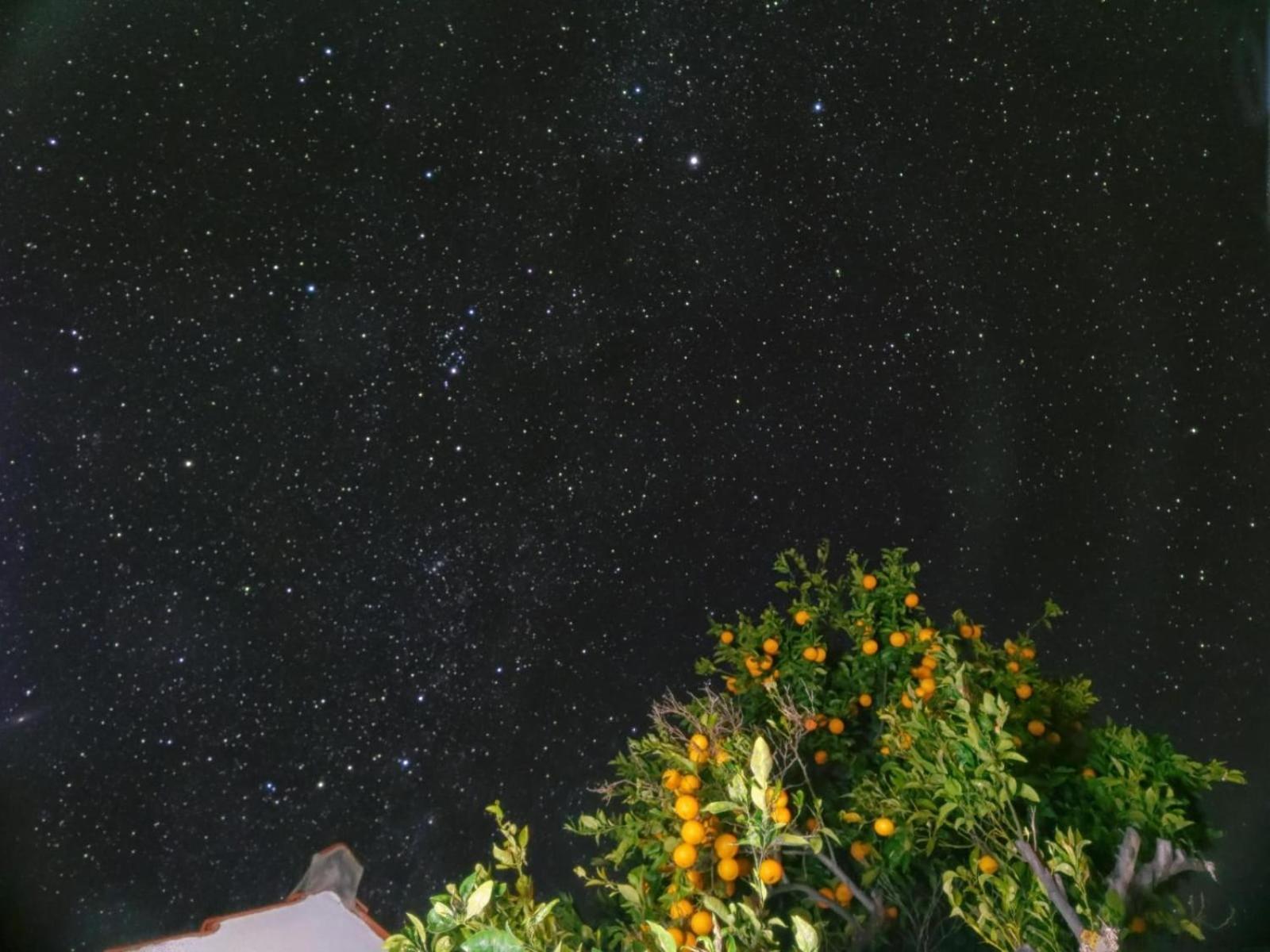 "Villa Servanda " - Relax, Nature, Wide Views Of The Sea And A Starry Sky Puntagorda Exterior foto